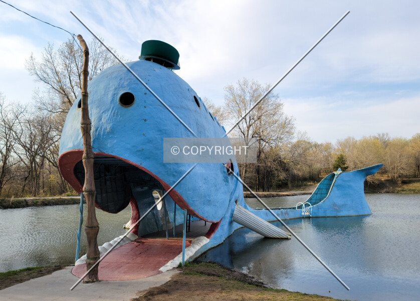 Blue Whale