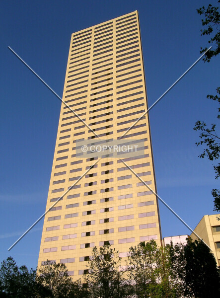 Photo 129-985-476