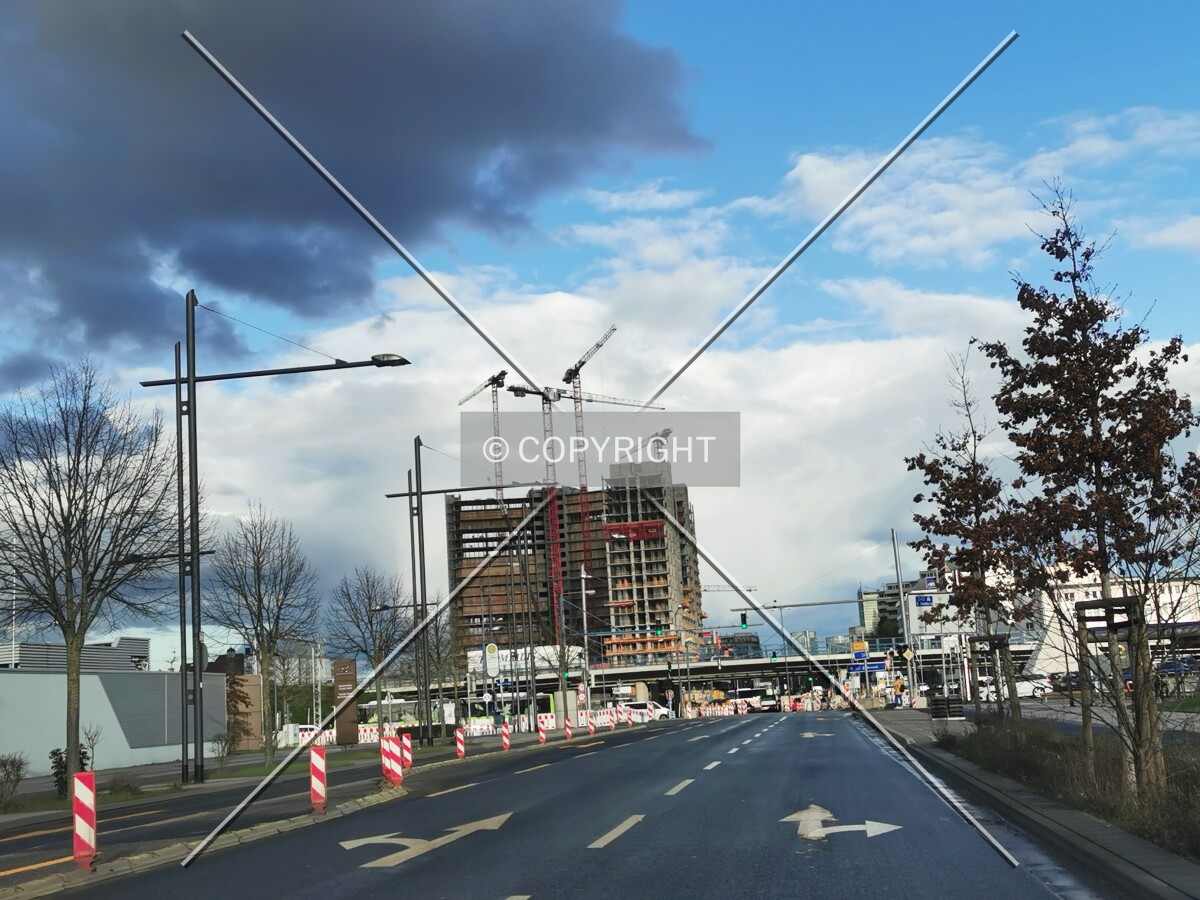 Photo 130-354-753