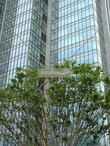 Photo 130-593-334