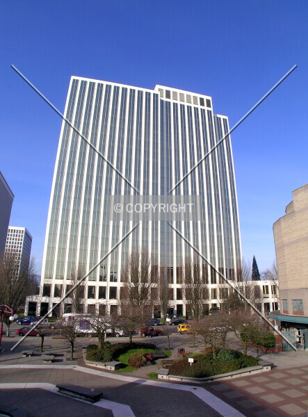 Photo 130-702-266