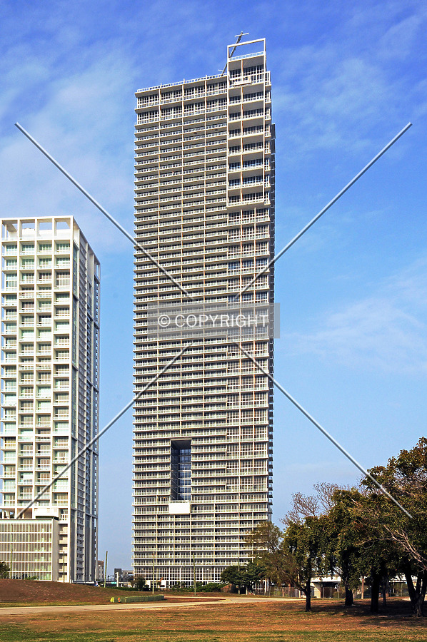 View from the east