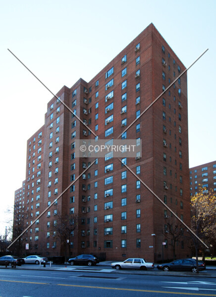 Photo 131-338-008