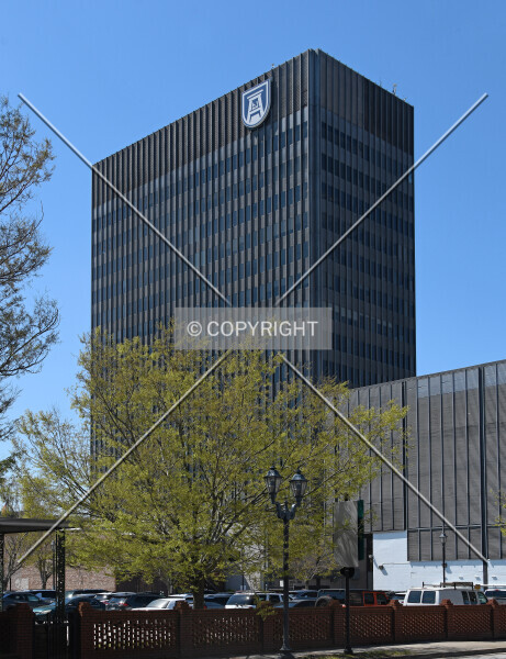 Photo 131-631-386