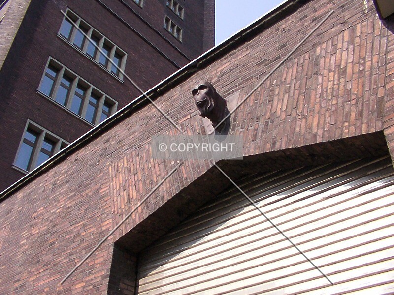 Photo 131-913-091