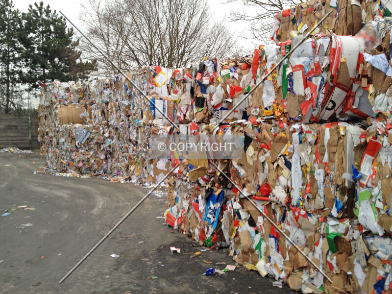 Photo 132-113-251