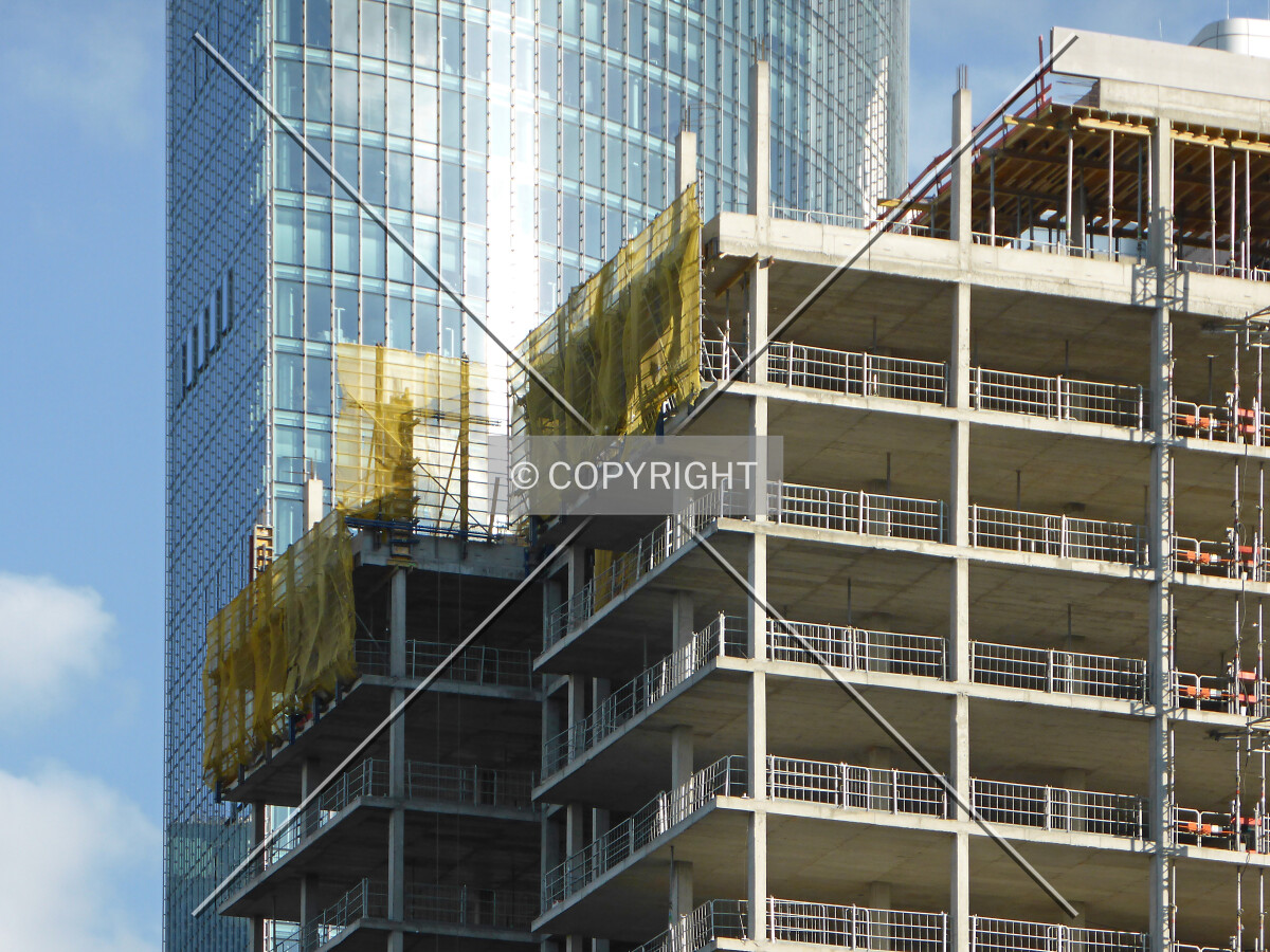 Photo 132-891-799