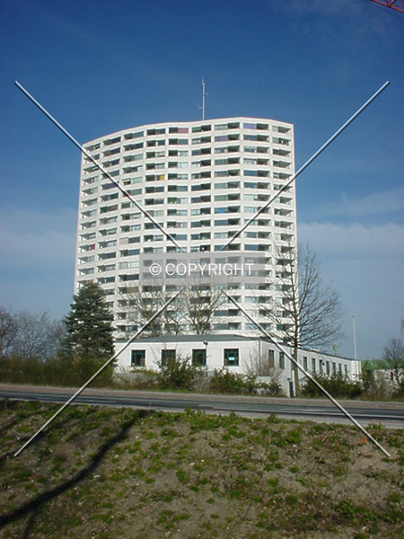 Photo 133-435-585
