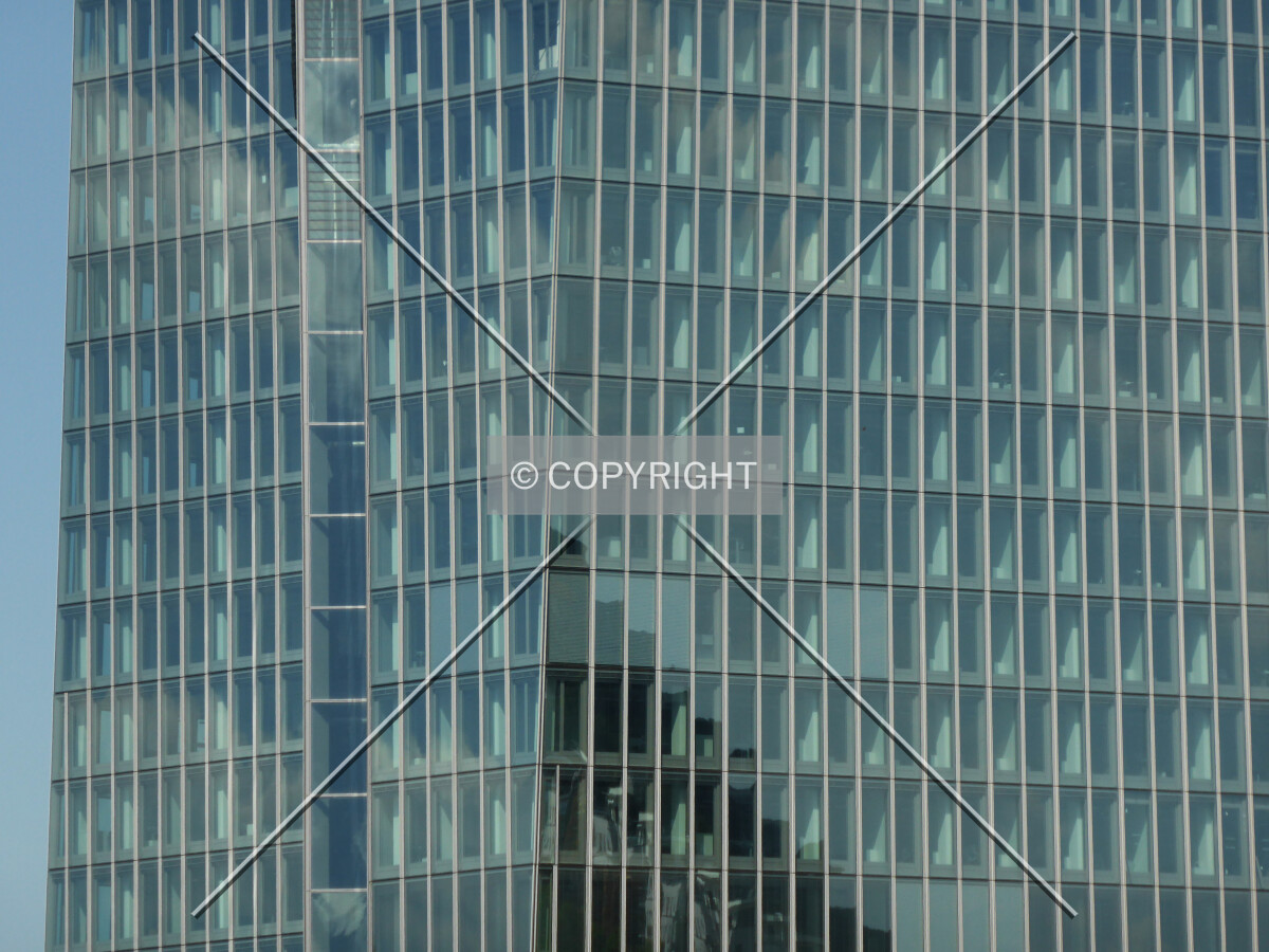 Photo 133-507-799