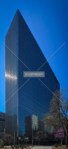 Photo 134-256-771