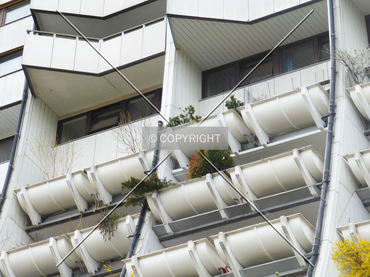 Photo 134-267-665