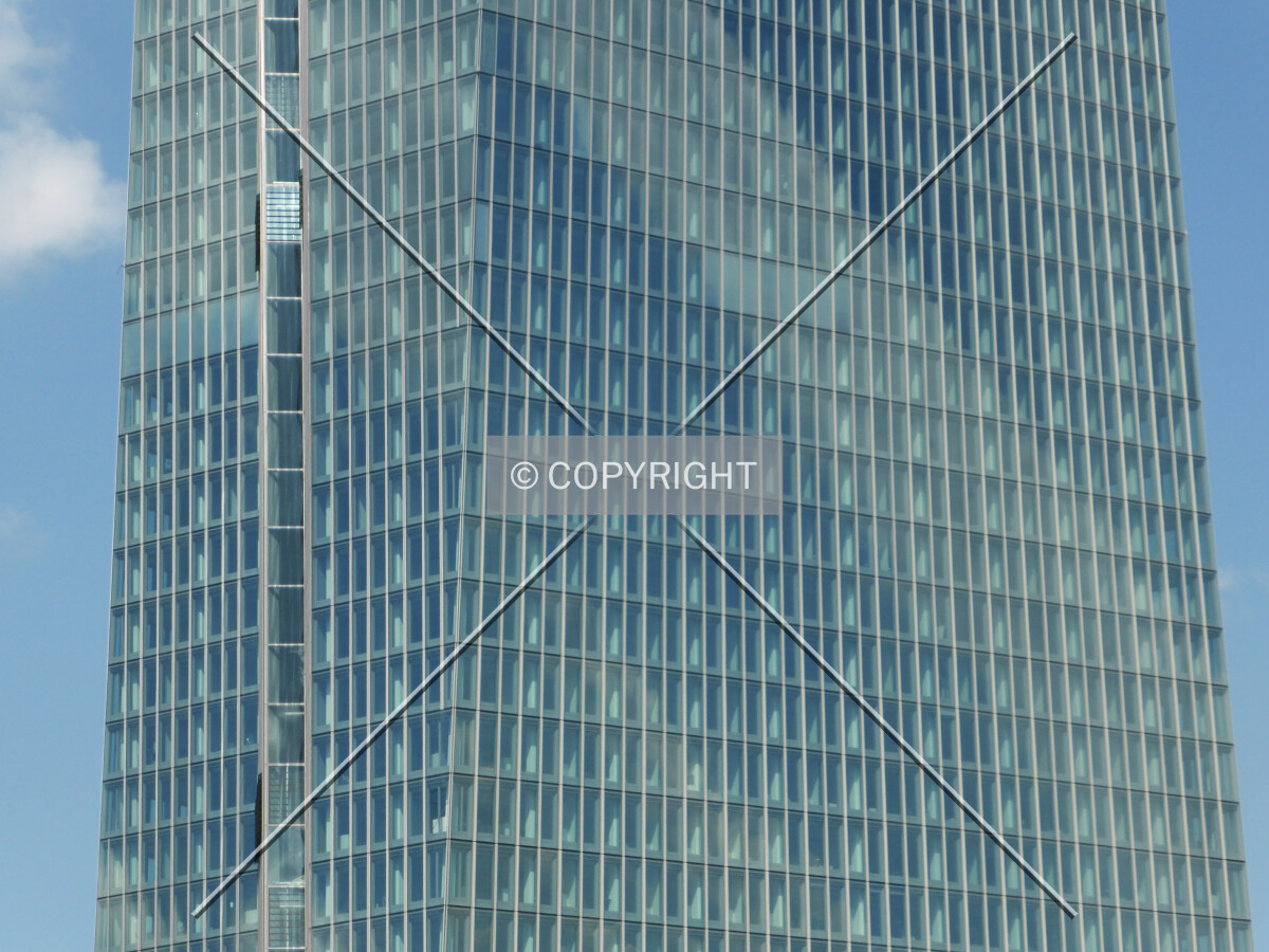 Photo 134-385-350