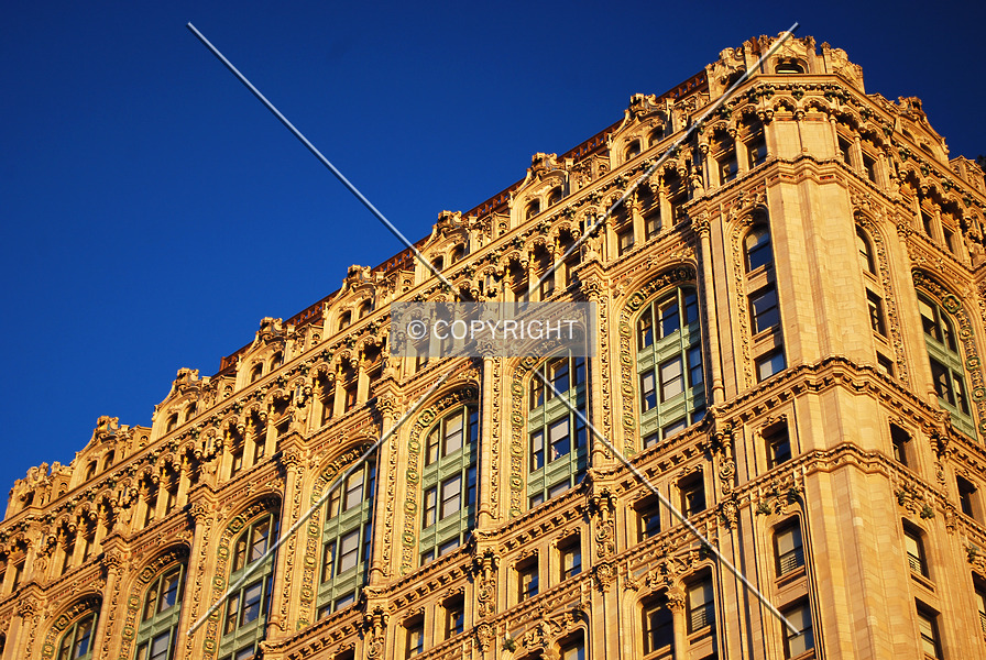 Photo 134-775-713