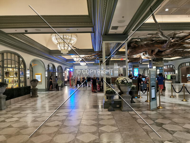 Photo 134-776-634