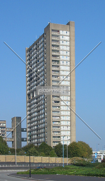 Photo 134-829-720