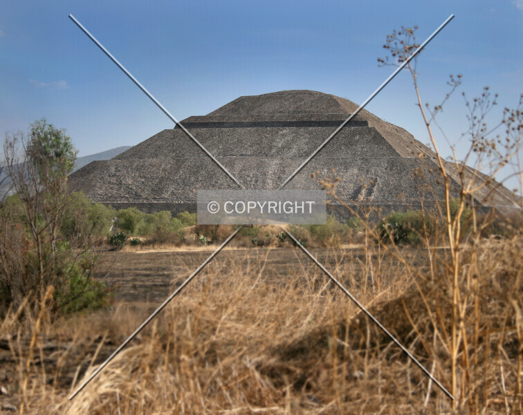 Photo 134-963-175