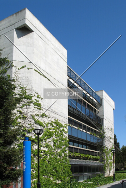 Photo 135-005-008