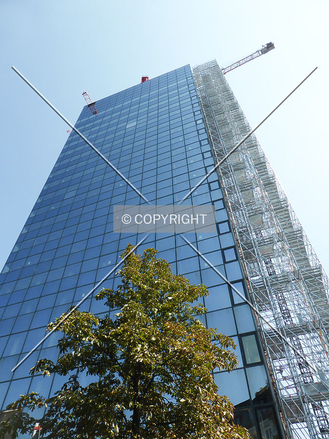 Photo 135-167-665