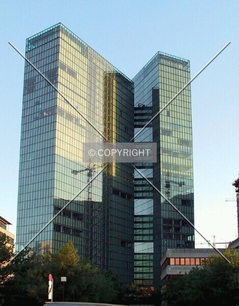 Photo 135-260-799