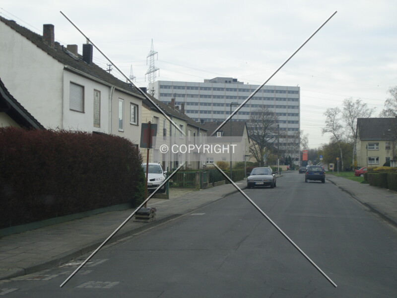 Photo 135-294-338