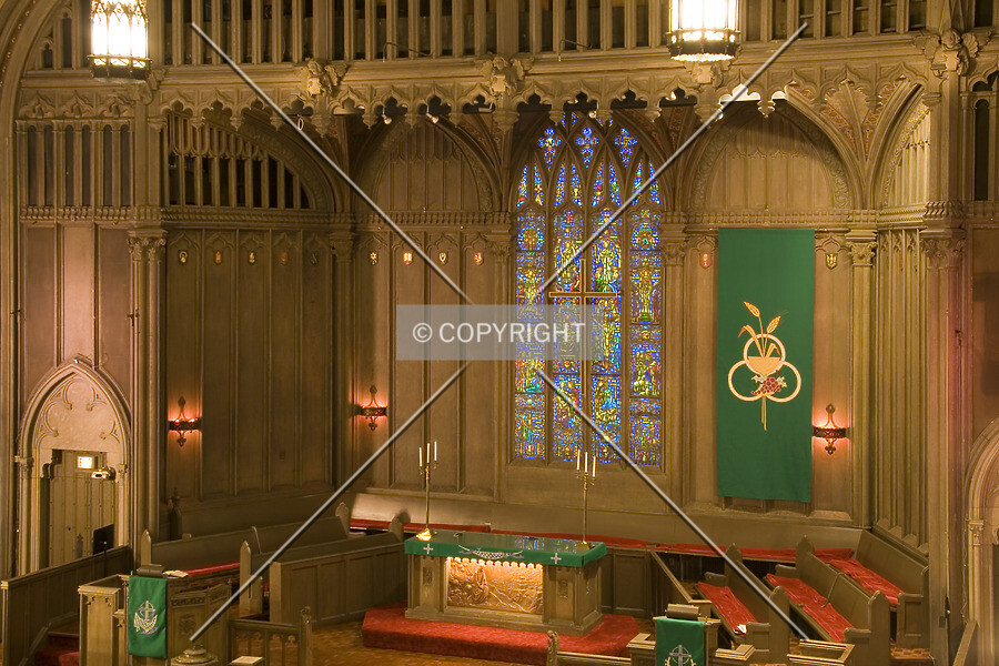 Photo 135-429-728