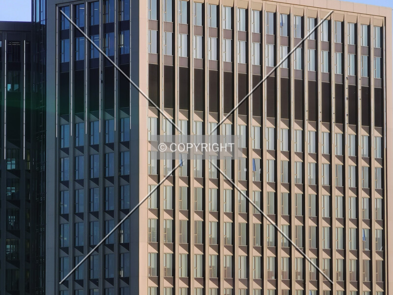 Photo 135-729-871