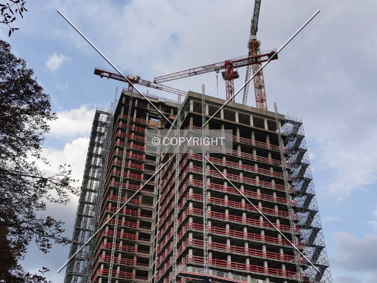 Photo 135-793-719