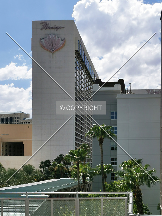 Photo 137-201-506