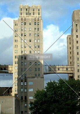 Photo 137-449-573