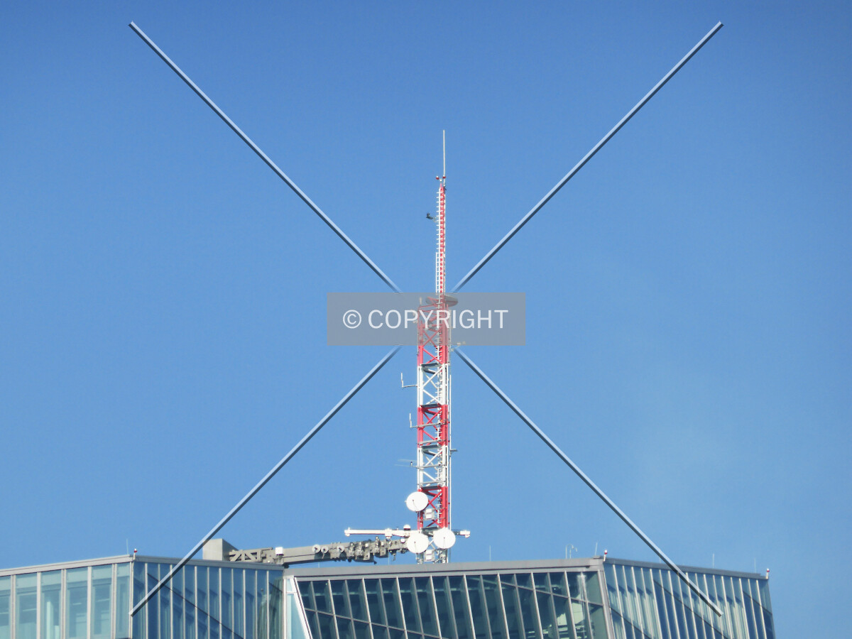 Photo 137-815-272