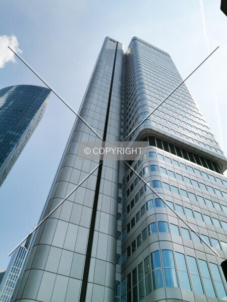 Photo 138-001-239