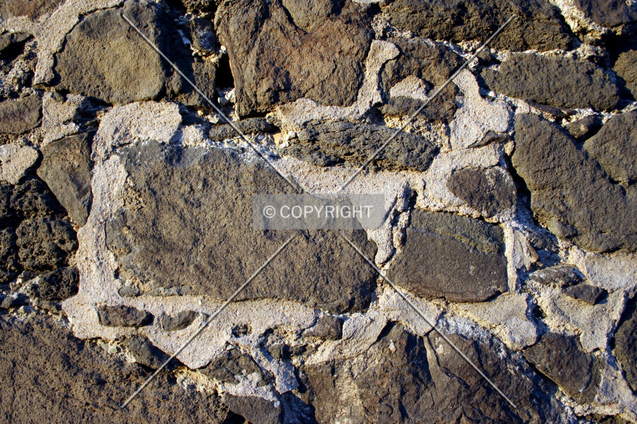 Photo 138-175-659