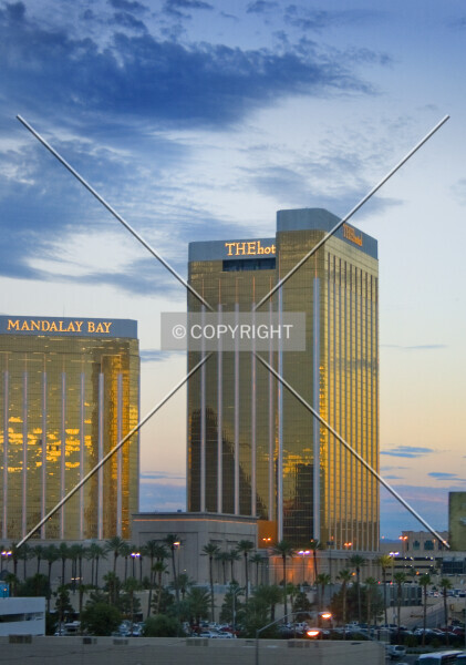 Photo 138-572-717