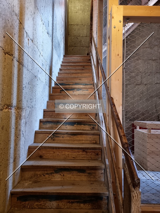 Photo 139-566-484