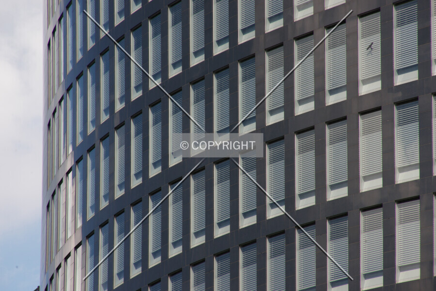 Photo 139-572-371