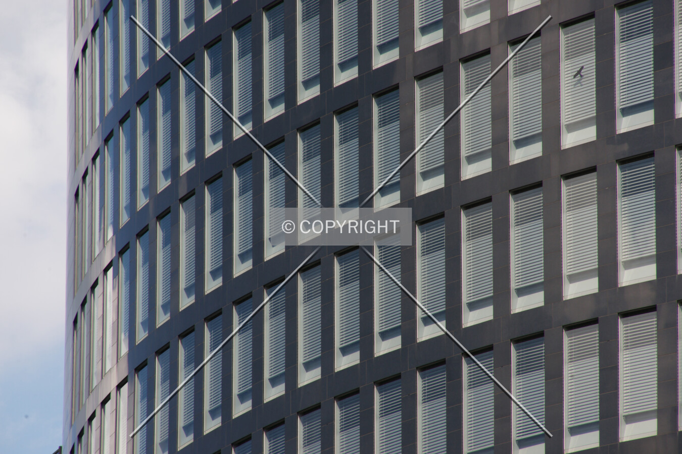 Photo 139-572-371
