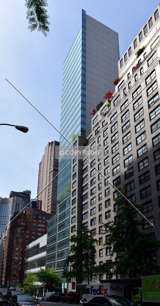 Photo 139-587-524