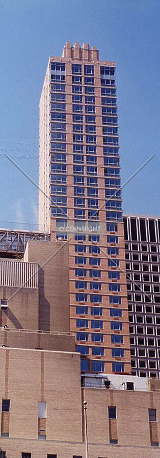 View from the north