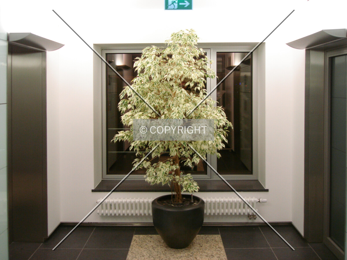 In front of the elevators