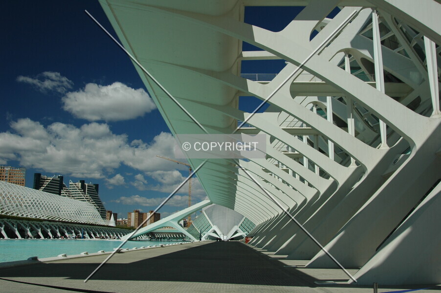 Photo 141-929-822