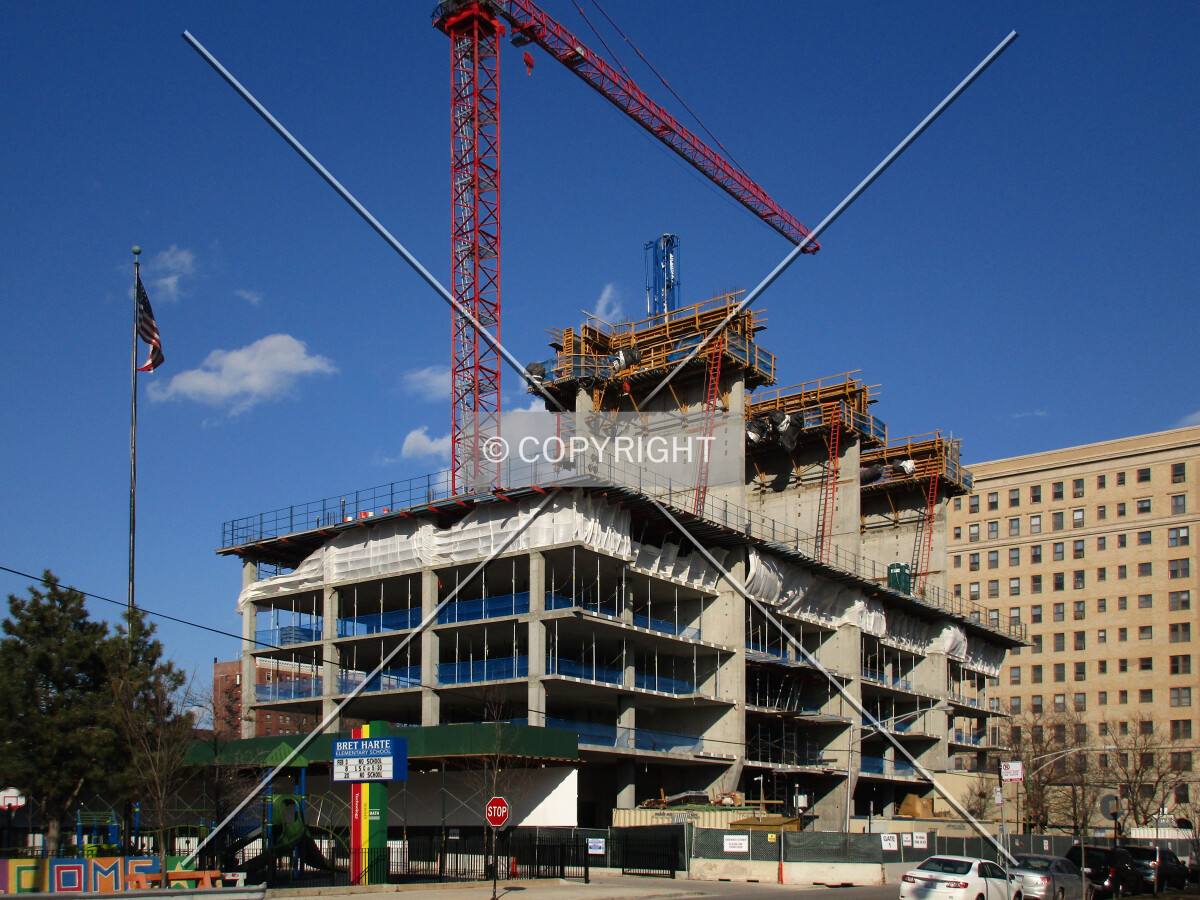 Photo 142-351-636