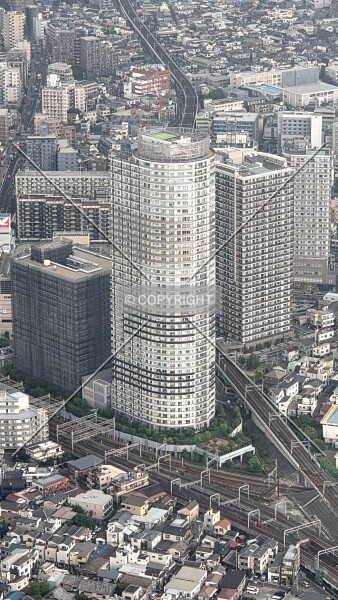 Photo 143-295-784