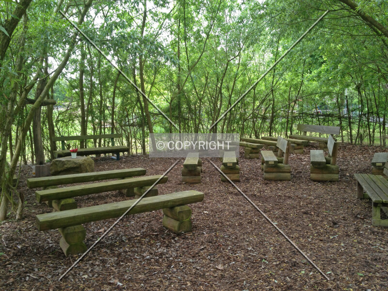 Photo 144-069-033