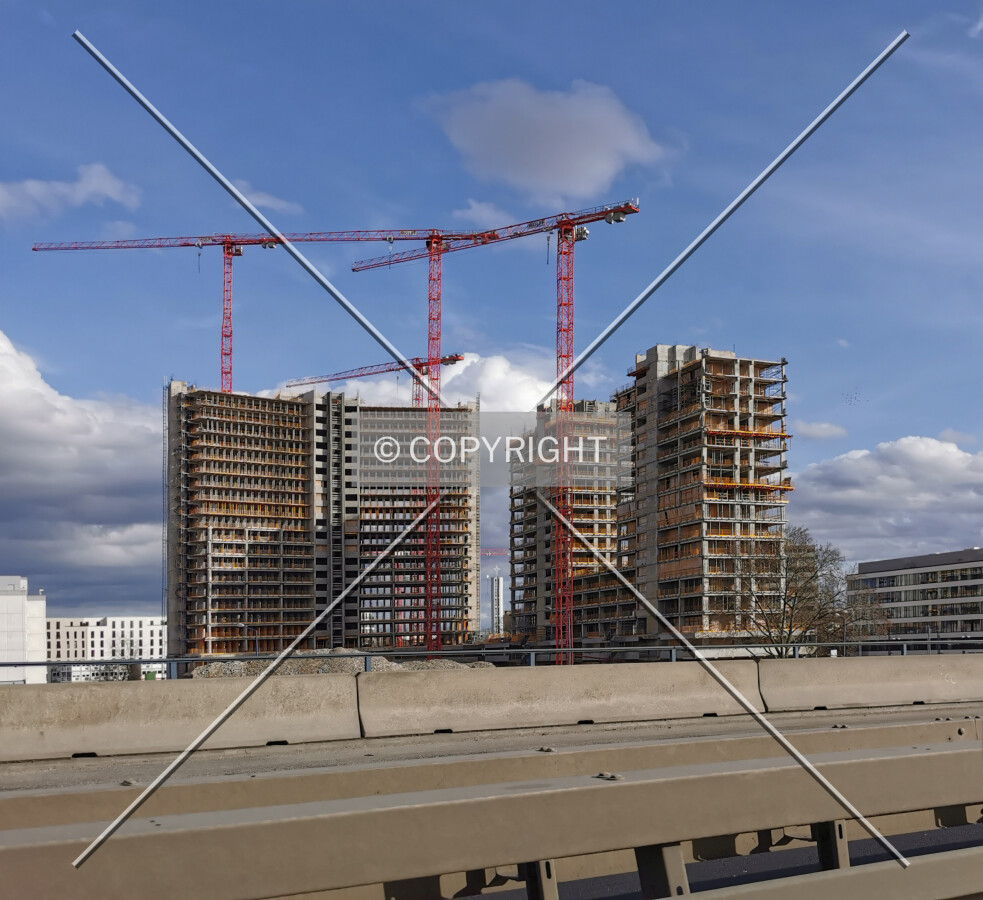 Photo 144-346-333