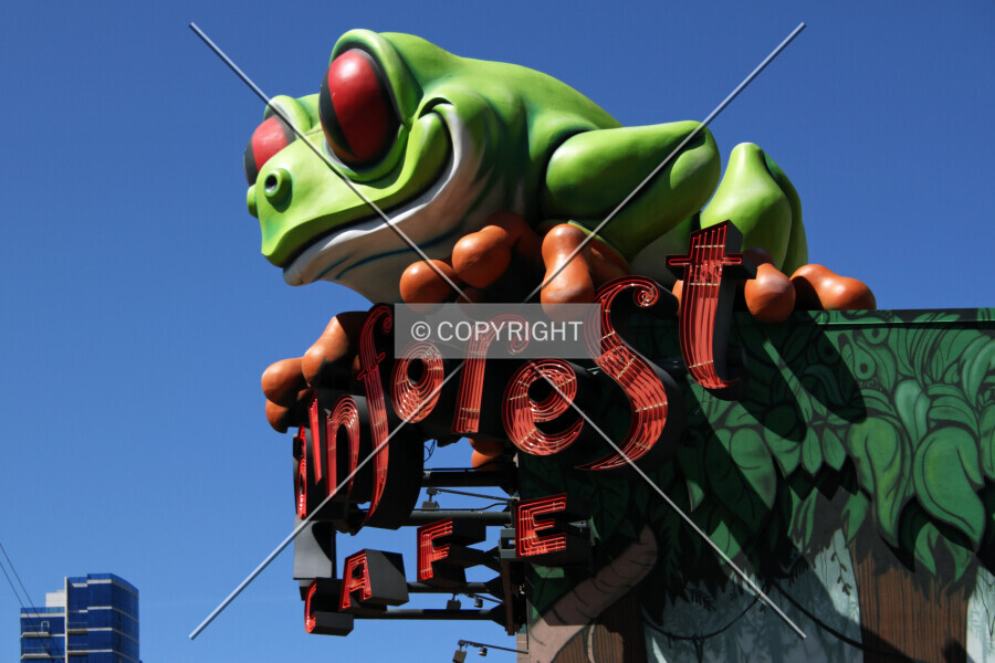 Photo 145-031-678