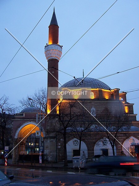 Photo 145-139-777