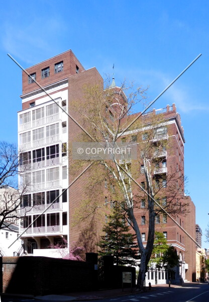 Photo 145-295-707