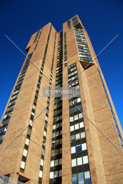 Photo 145-309-416