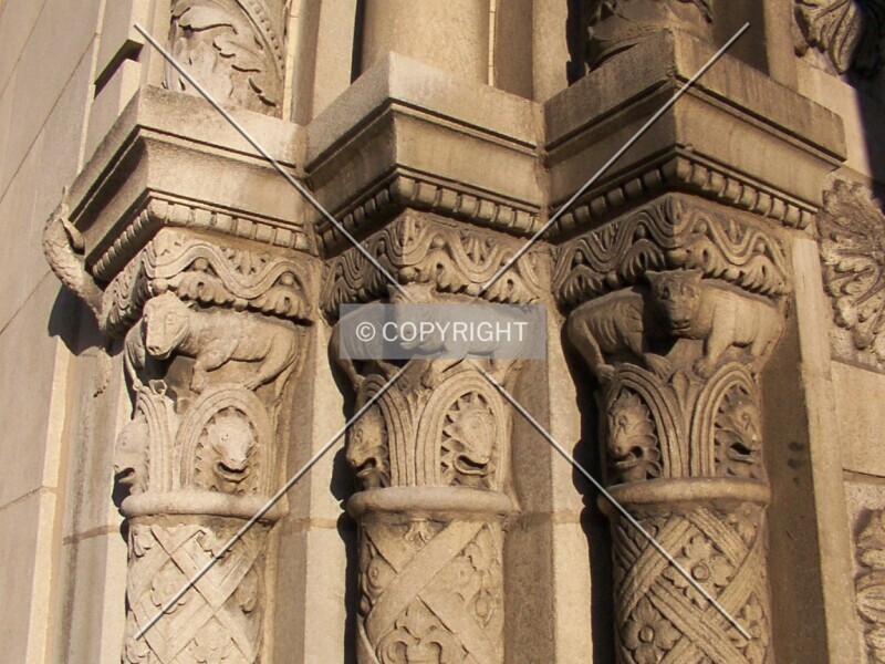 Photo 145-924-355