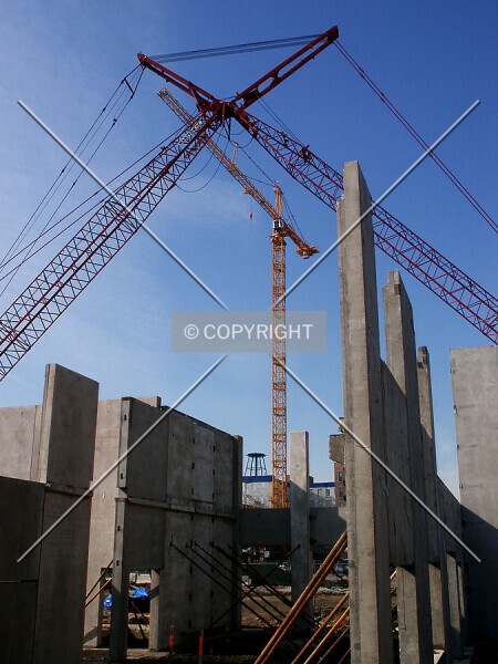 Photo 146-942-433